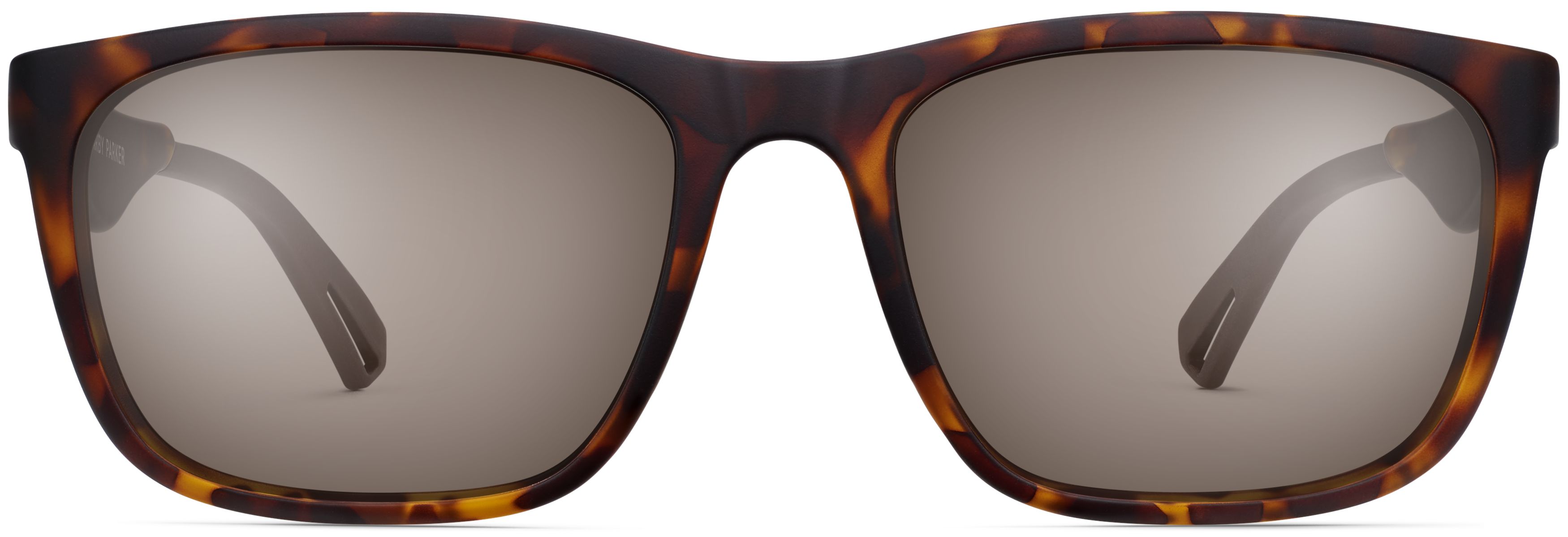 Cedar Mahogany Tortoise, front view