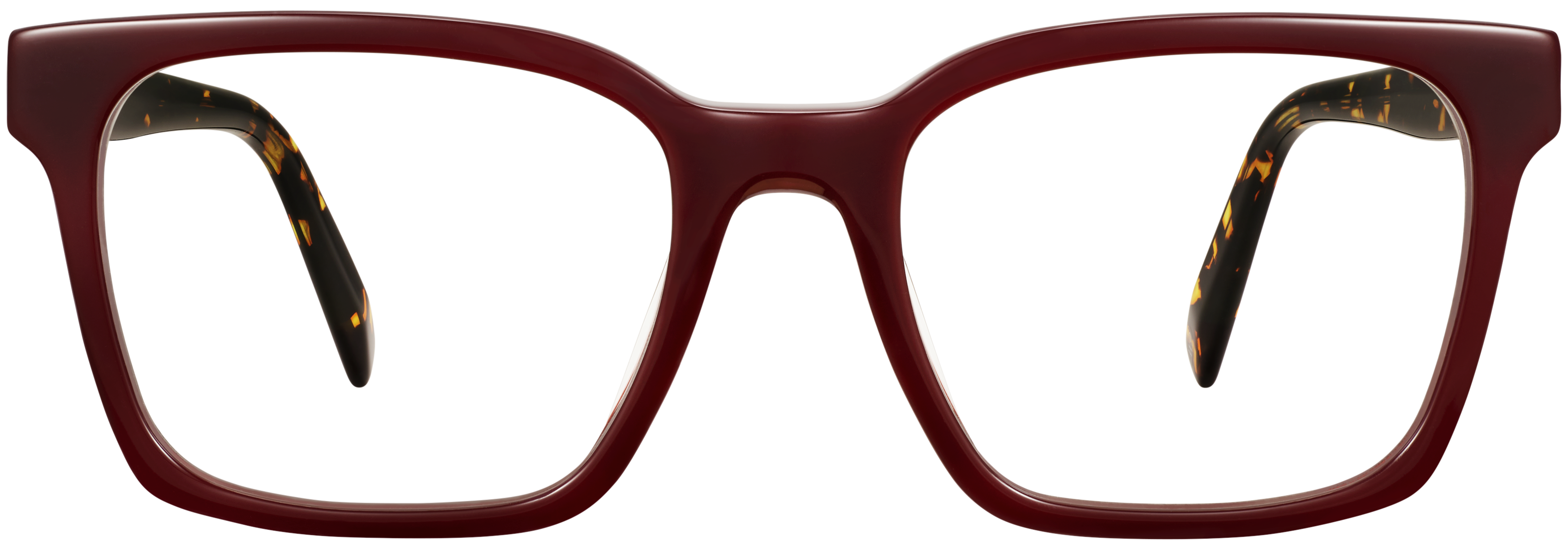 Zoya Amarena with Black Oak Tortoise, baseTransparent view