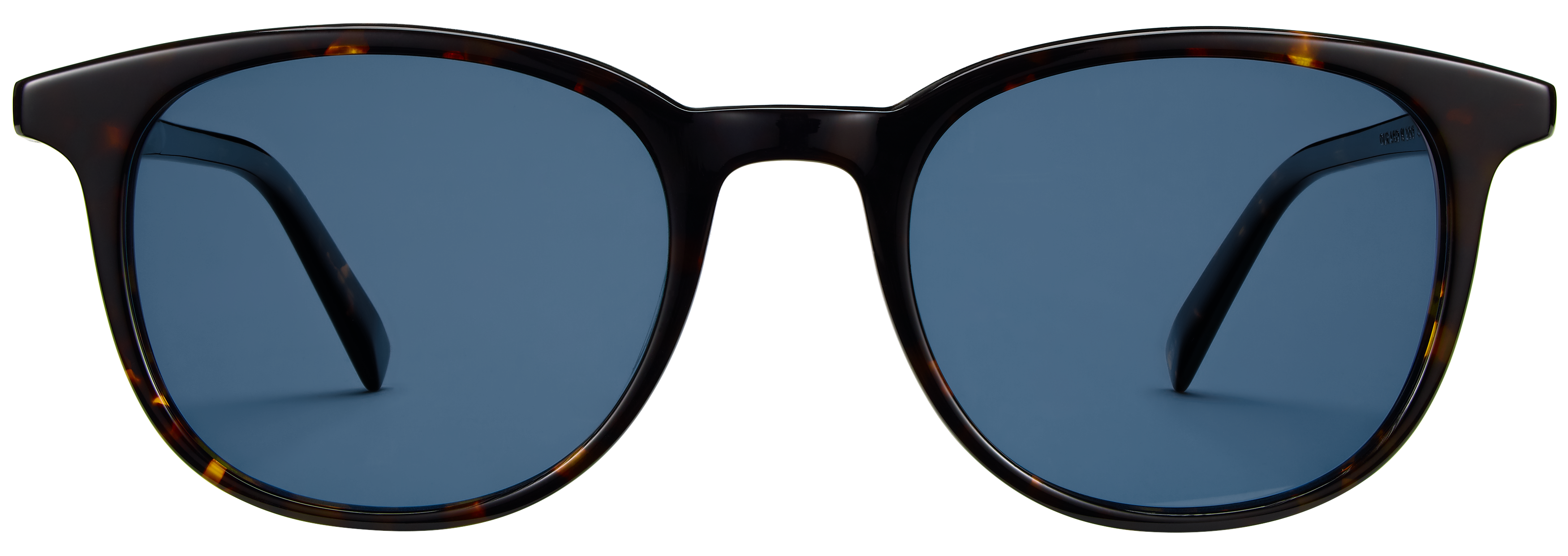 Durand Whiskey Tortoise, baseTransparent view