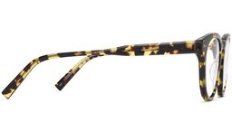 Hayes in Mesquite Tortoise, thumbnail 3
