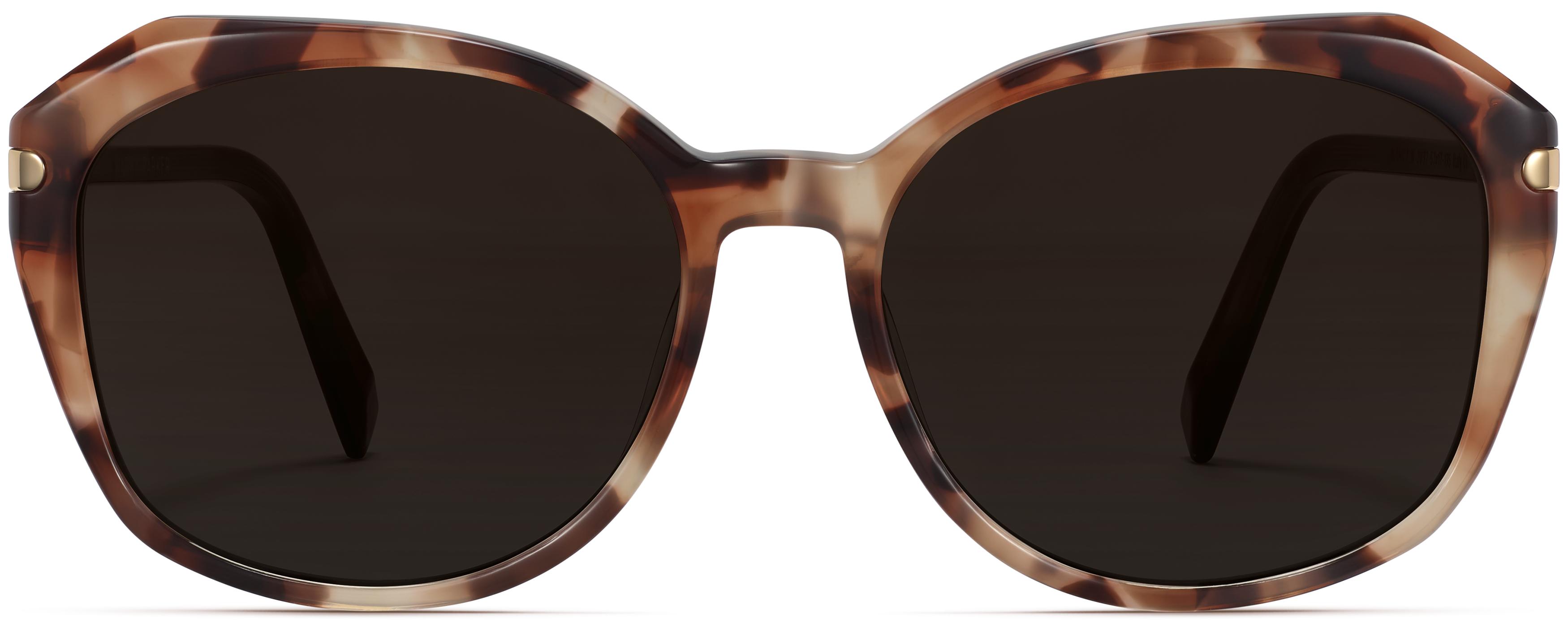 Warby Parker Nancy Sunglasses in Cognac Tortoise NO PRESCRIPTION - READY TO WEAR Nancy Sunglasses in Sesame Tortoise with Polished Gold  main image 2