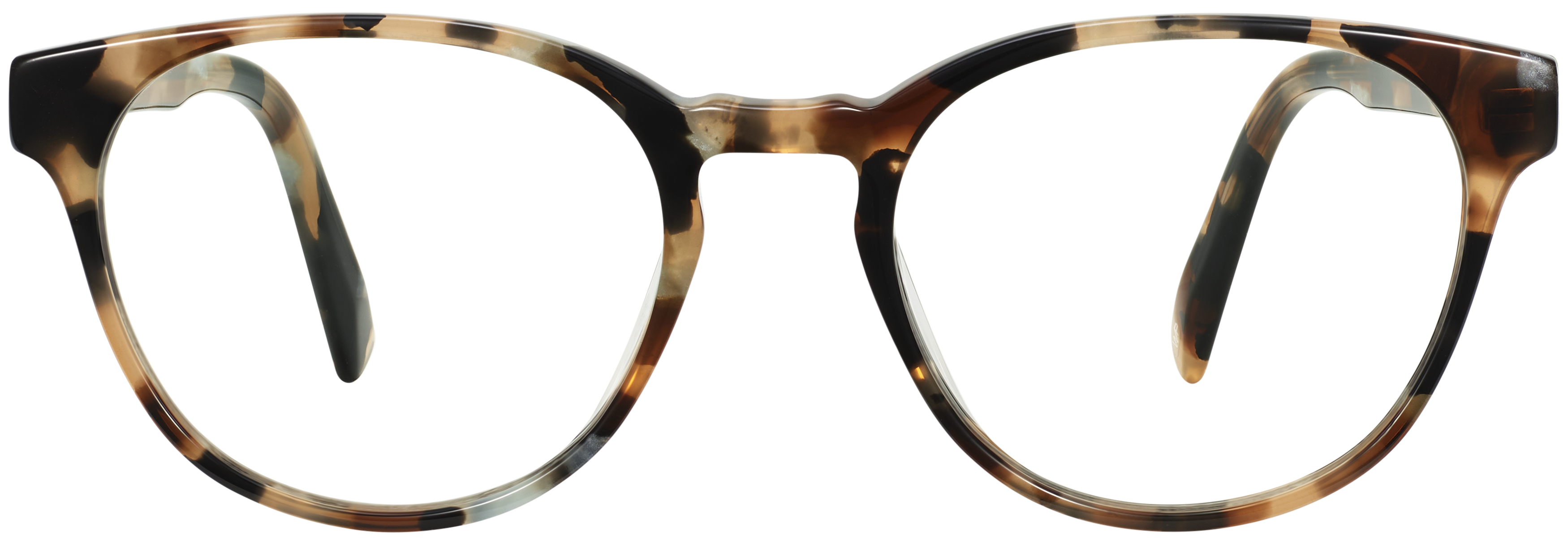 Whalen Terrazzo Tortoise, baseTransparent view