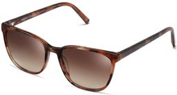 Esme in Sesame Tortoise, thumbnail 1