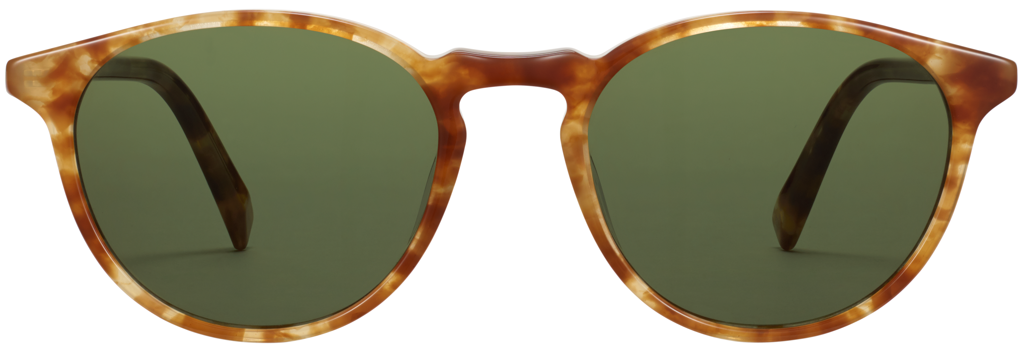 Butler Butterscotch Tortoise, baseTransparent view