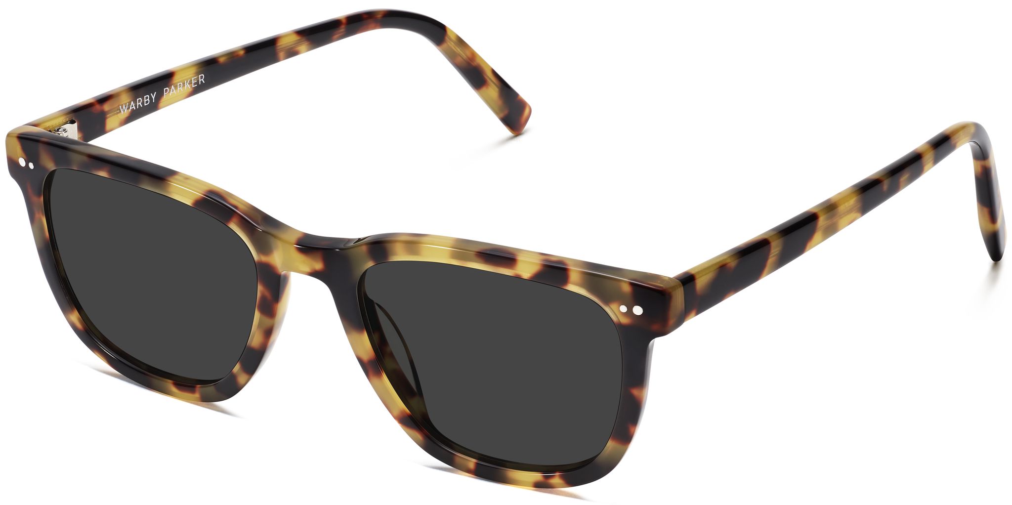 Toni in Cider Tortoise, image 1