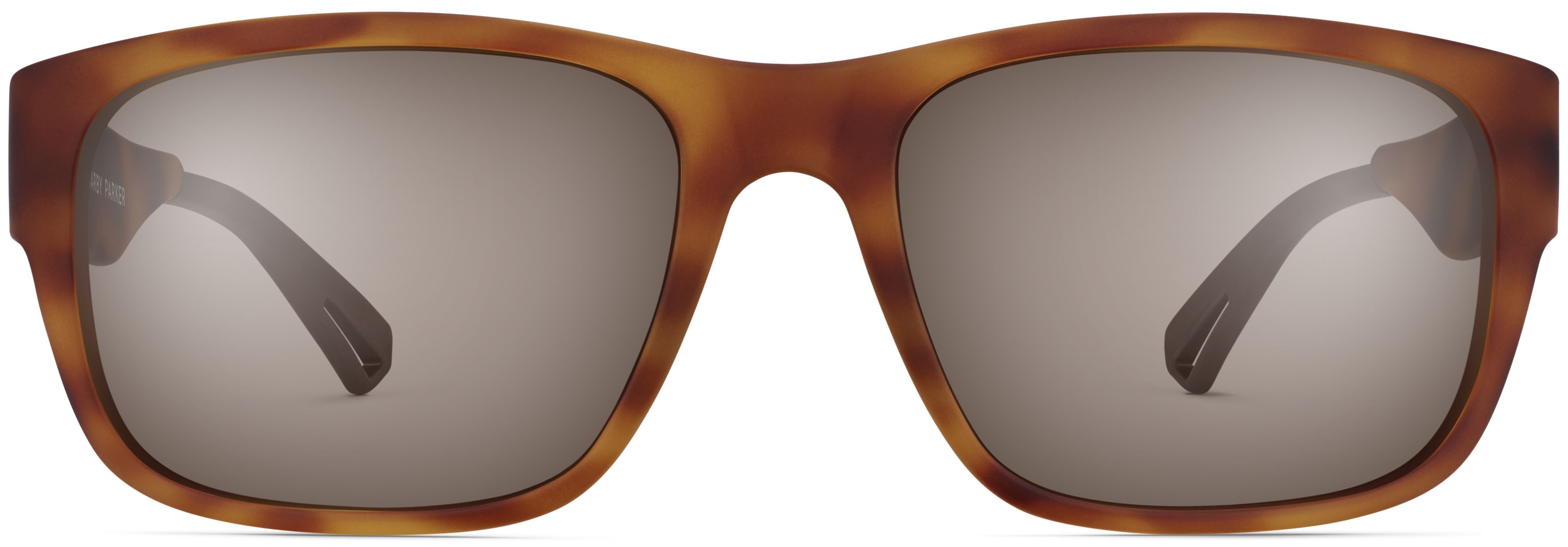 Flint Sapwood Tortoise, front view