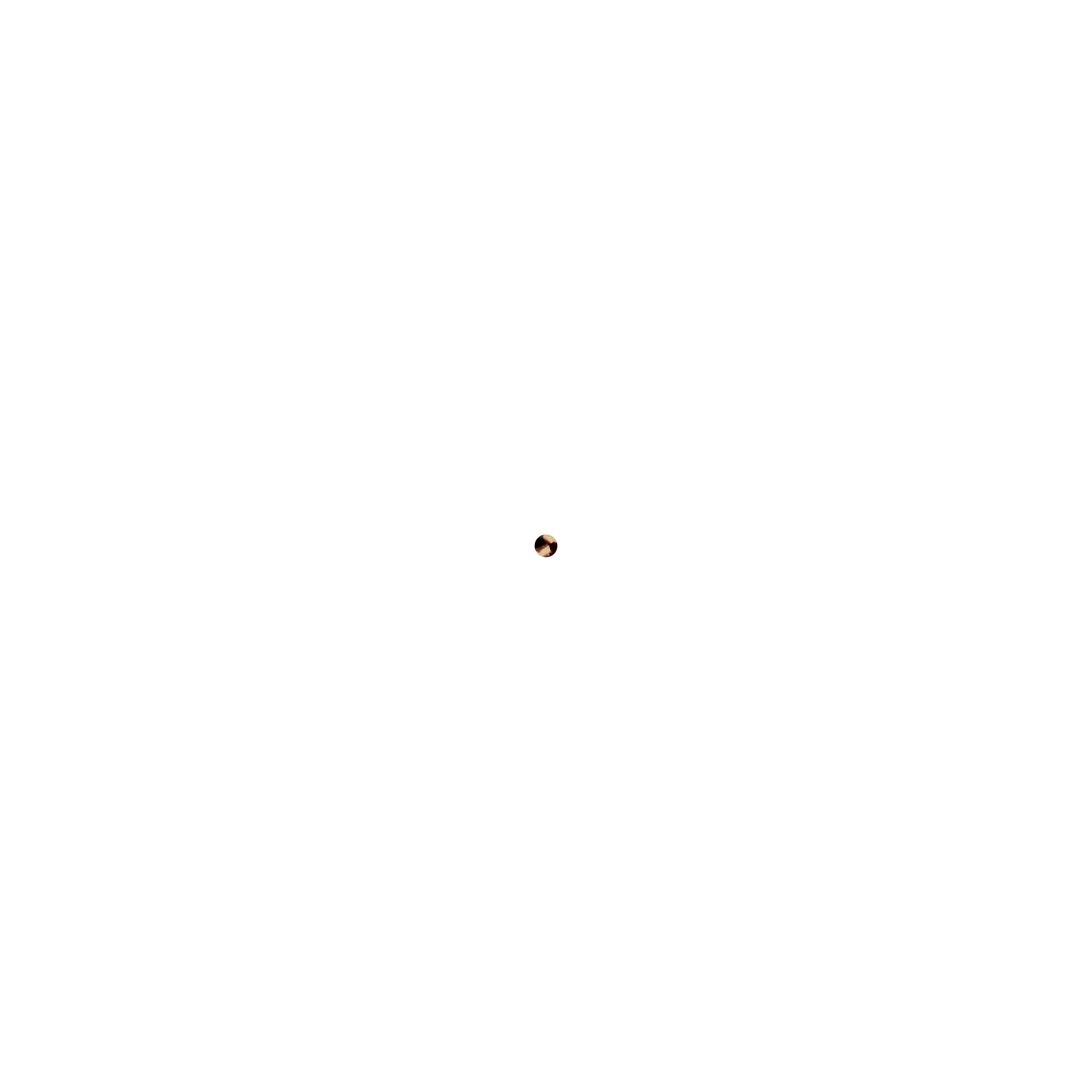 truffle-tortoise