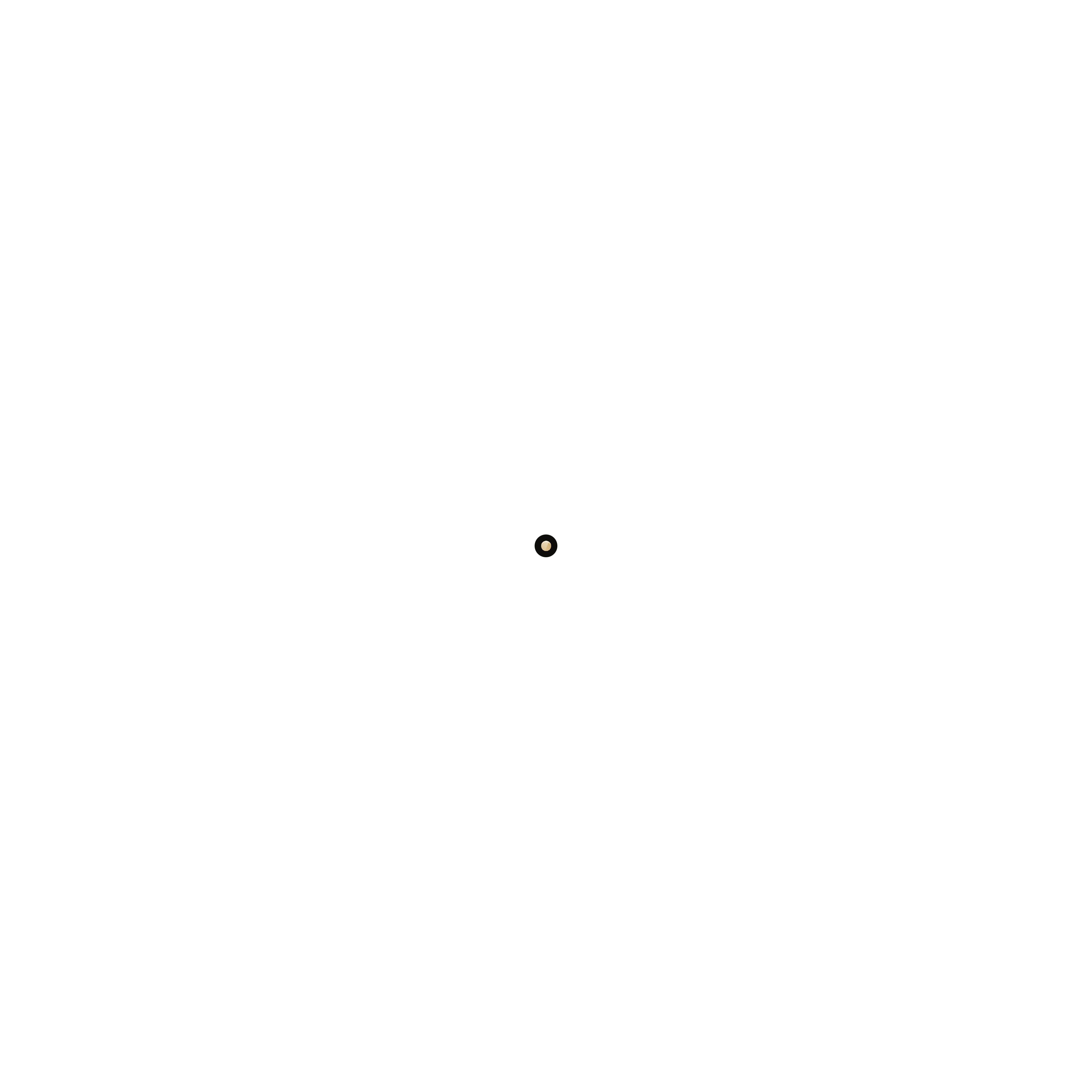 jet-black-with-polished-gold