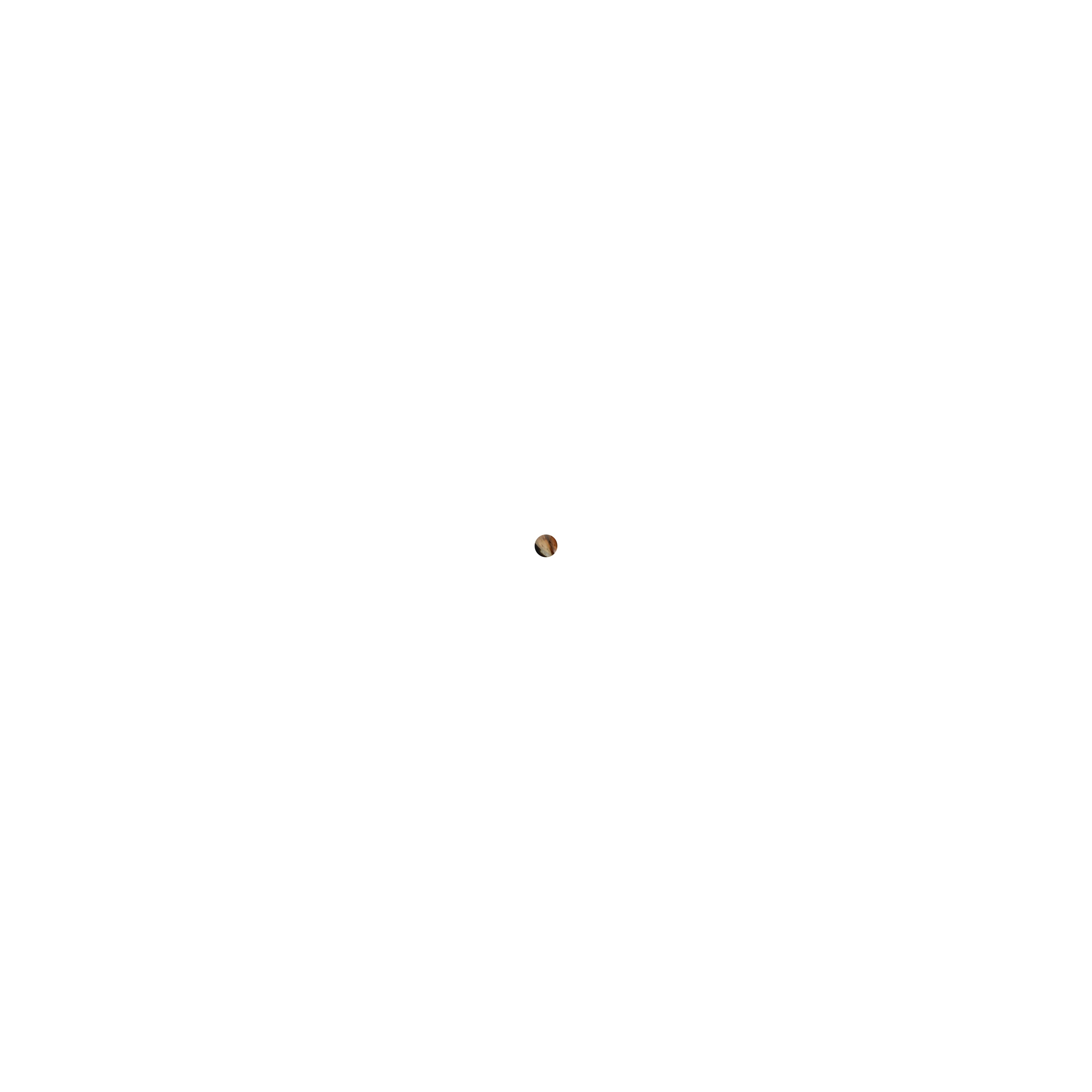 terrazzo-tortoise