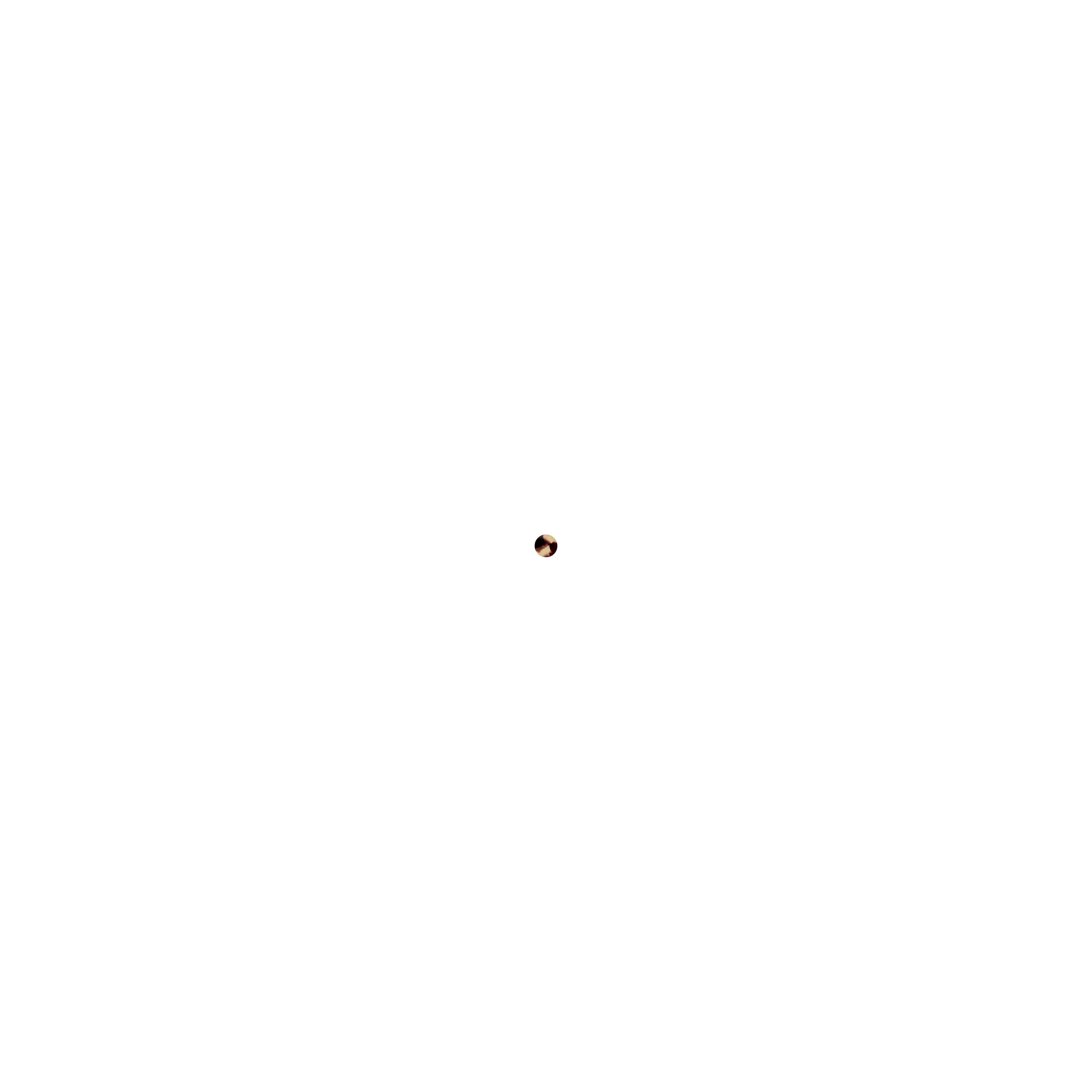 truffle-tortoise