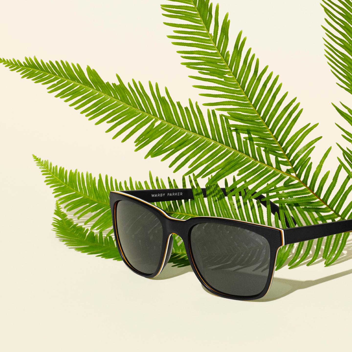 Barkley Frames in Black Matte Eclipse