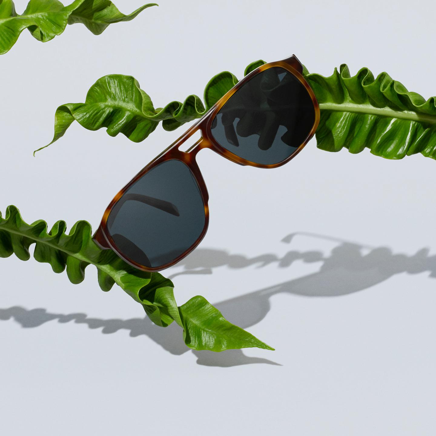 Hatcher Frames in Oak Barrel